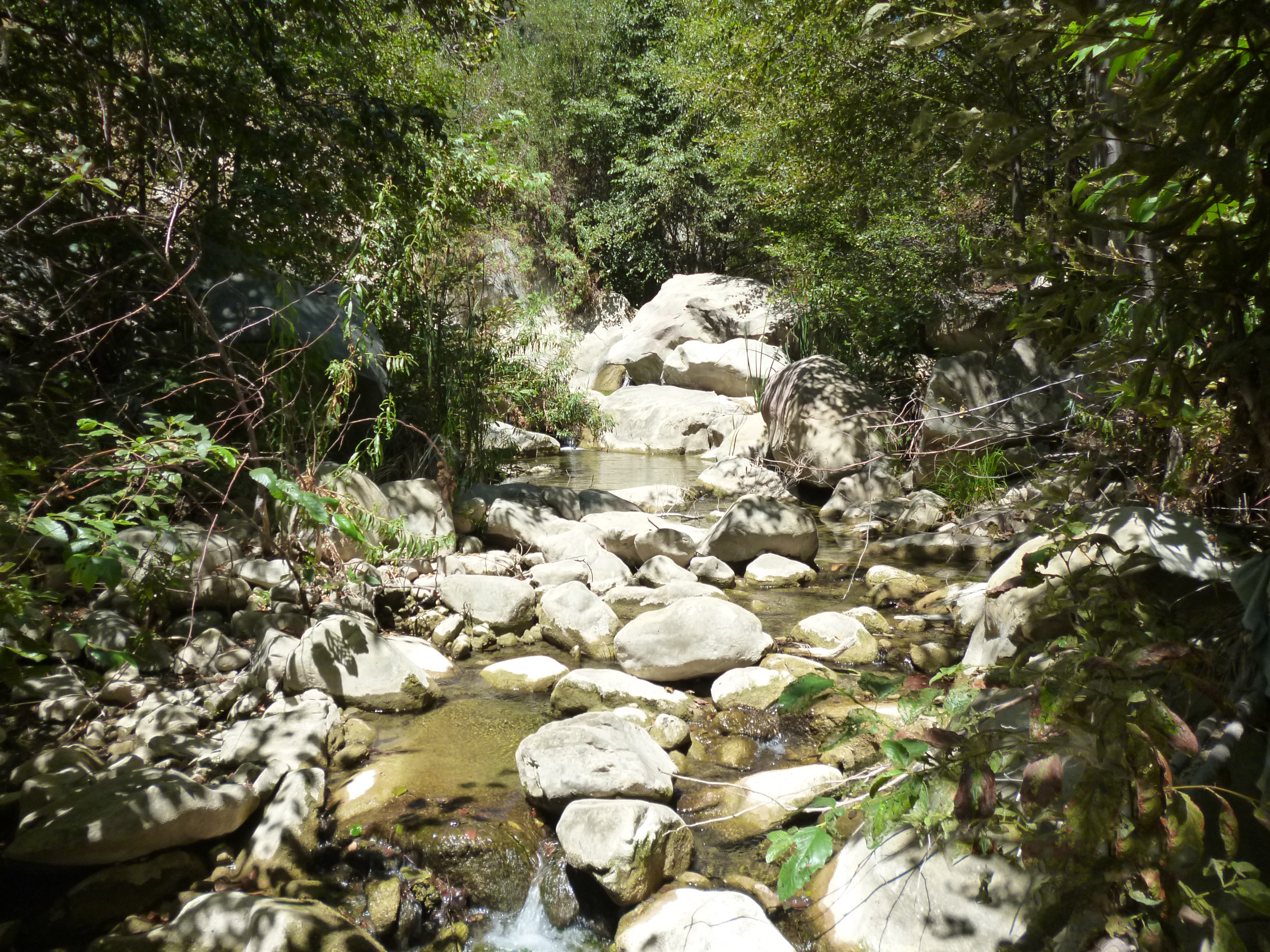 North Fork Matilija Creek